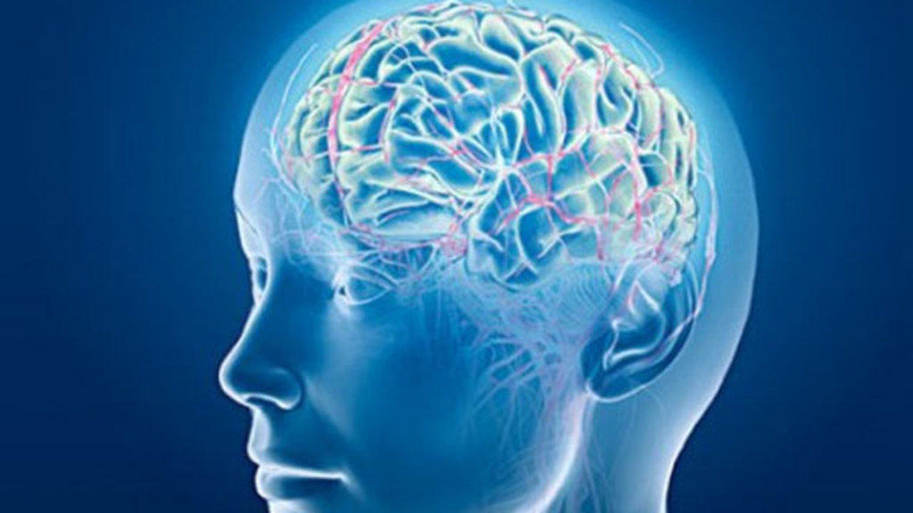 脳内麻薬について 脳内麻薬について