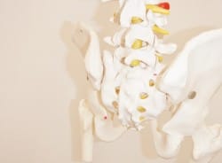 フルスパインテクニック-2