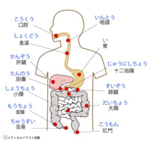肩こりや背中痛の原因-2