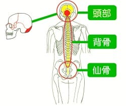 施術効果が期待される症状(頭蓋)